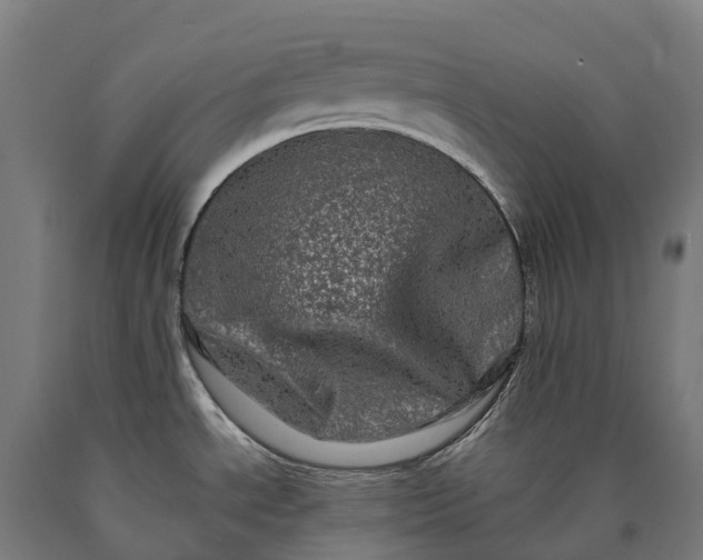 X0000090611534200707311212