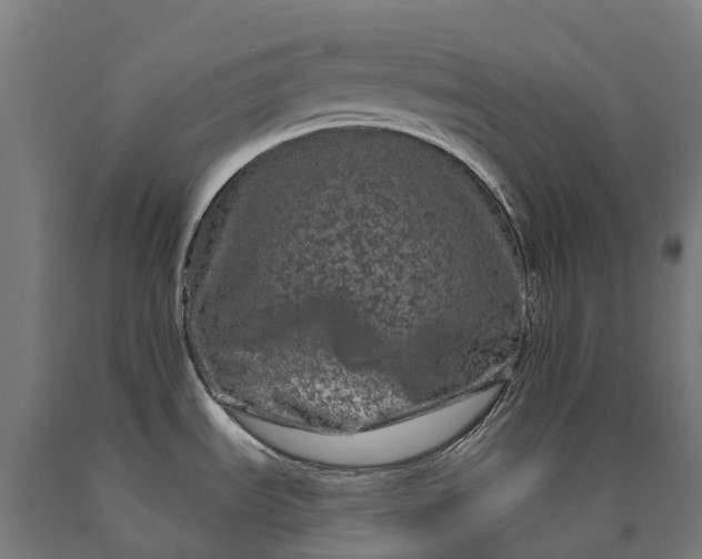 X0000090611535200707311212