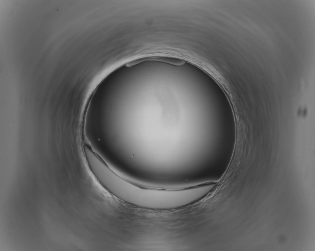 X0000090611536200707311212