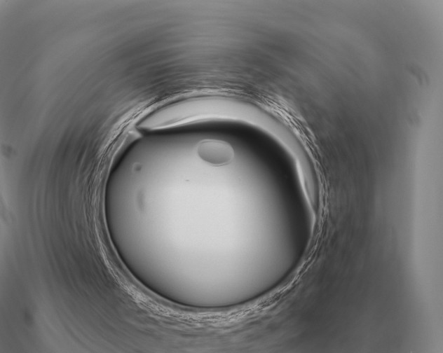 X0000090610001200708071213