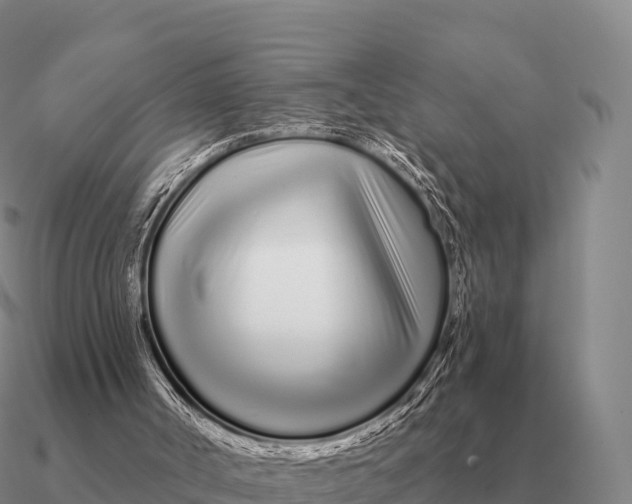 X0000090610002200708071213