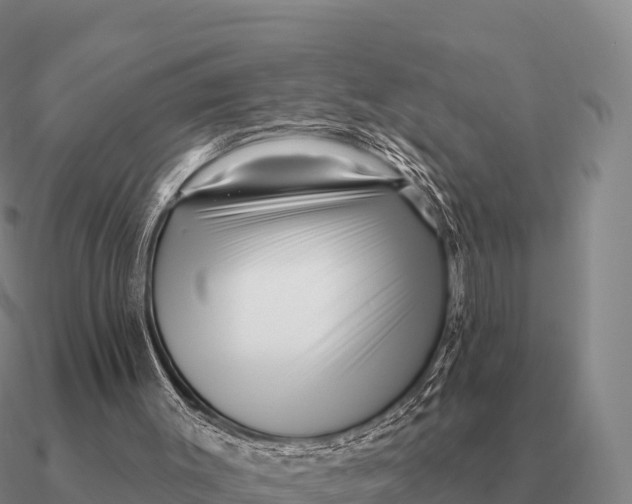 X0000090610003200708071213