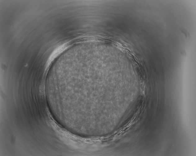 X0000090610004200708071213