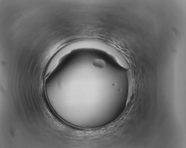 X0000090610005200708071213