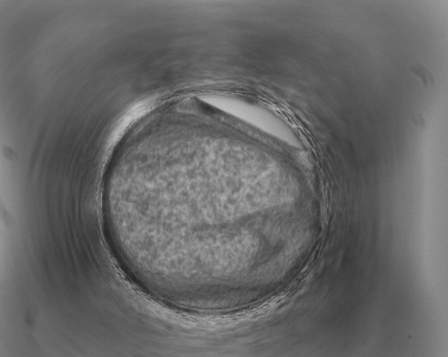 X0000090610006200708071213