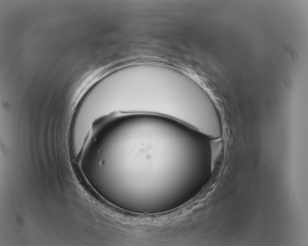 X0000090610007200708071213