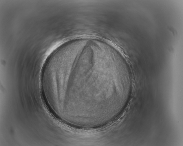 X0000090610008200708071213