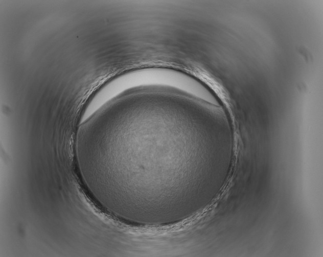 X0000090610009200708071213