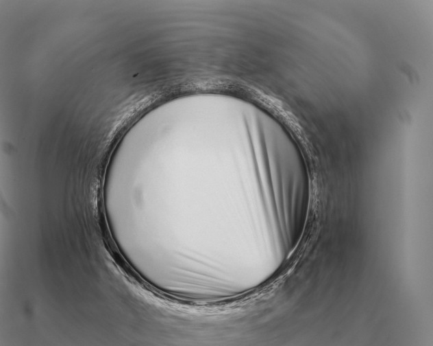 X0000090610010200708071213