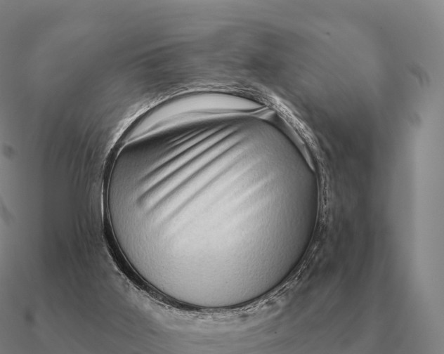 X0000090610011200708071213