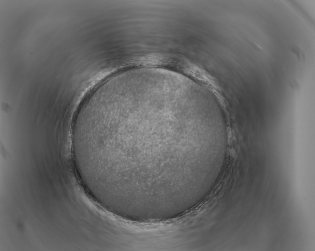 X0000090610012200708071213