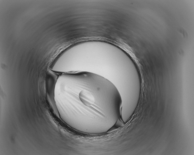 X0000090610013200708071213