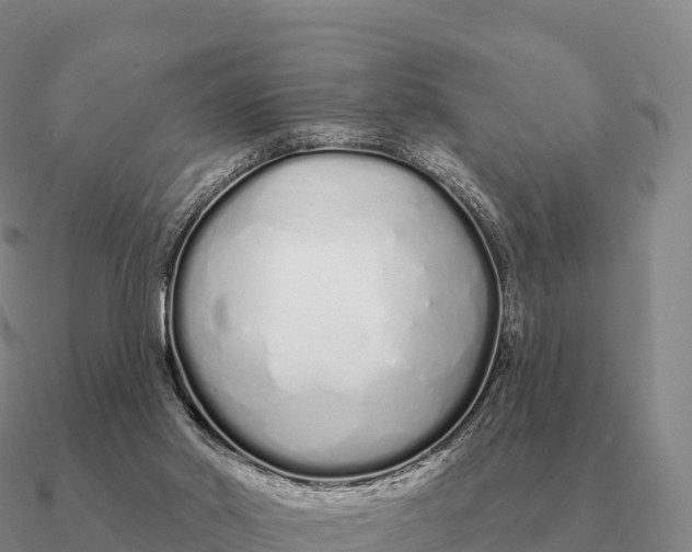 X0000090610014200708071213