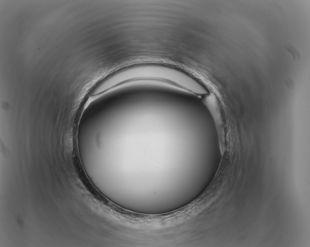 X0000090610015200708071213