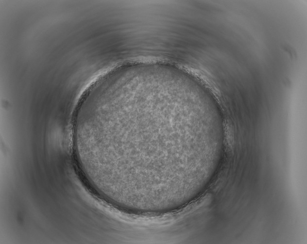 X0000090610016200708071213