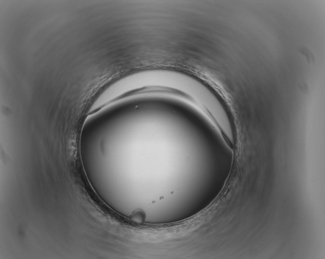 X0000090610017200708071213