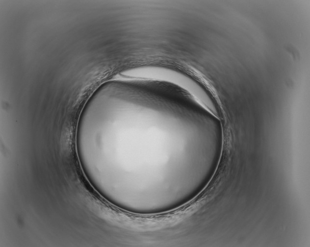 X0000090610018200708071213