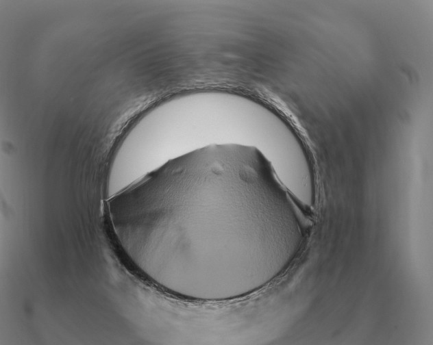 X0000090610019200708071213