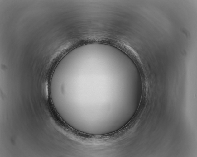 X0000090610020200708071213