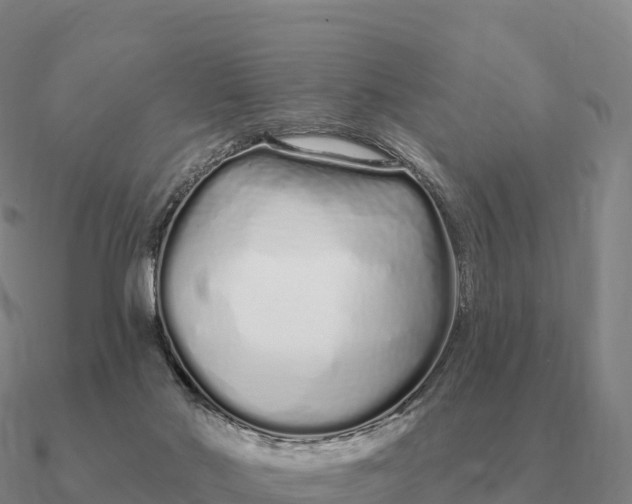 X0000090610022200708071213