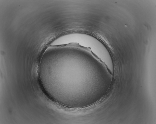 X0000090610023200708071213