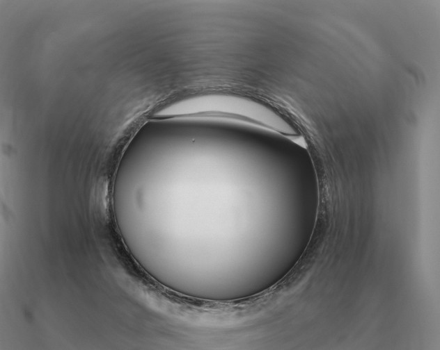 X0000090610024200708071213