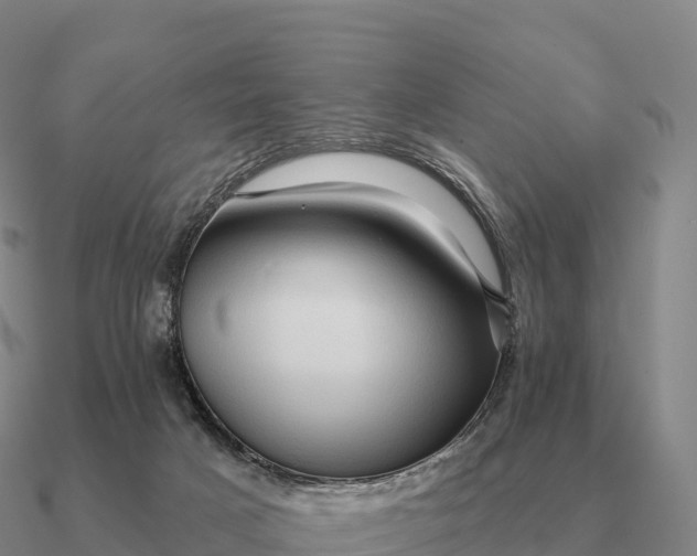 X0000090610025200708071213