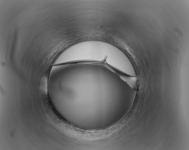 X0000090610027200708071213