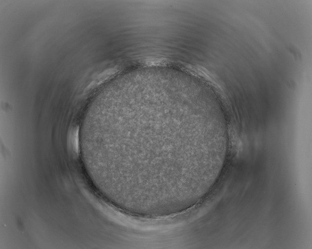 X0000090610028200708071213