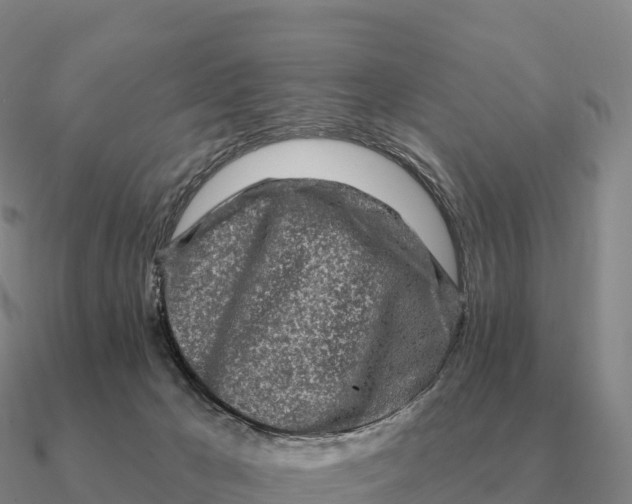 X0000090610029200708071213