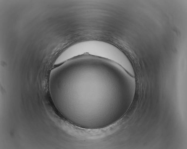 X0000090610031200708071213