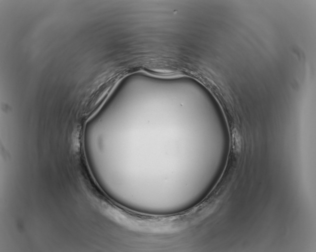 X0000090610032200708071213