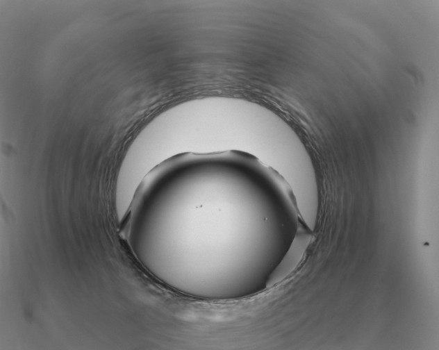 X0000090610033200708071213