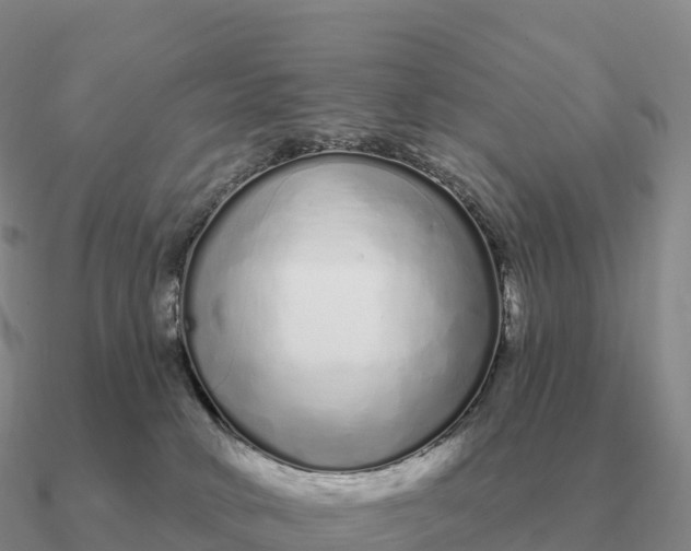 X0000090610034200708071213