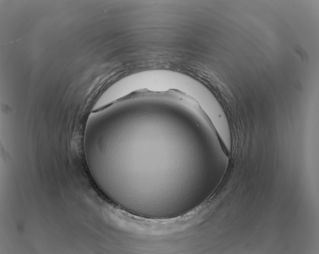 X0000090610035200708071213