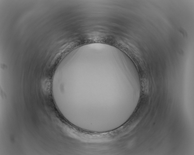 X0000090610036200708071213