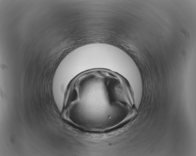 X0000090610037200708071213