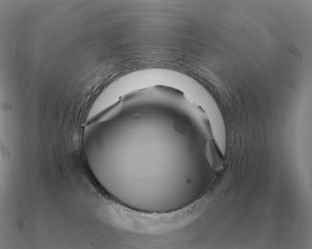 X0000090610039200708071213