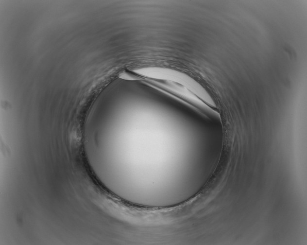 X0000090610040200708071212