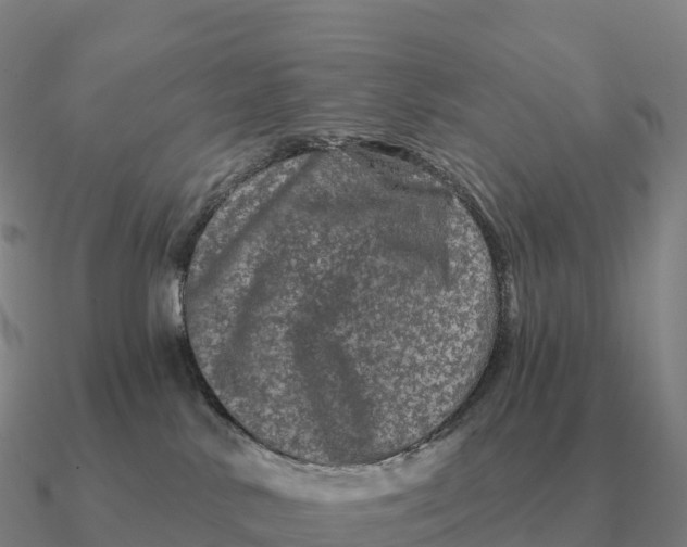 X0000090610042200708071212