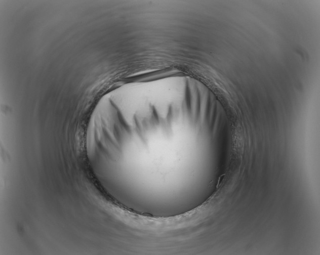 X0000090610043200708071212