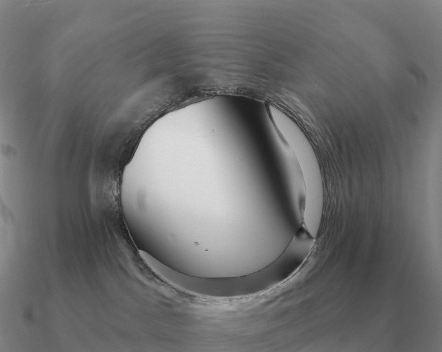 X0000090610045200708071212