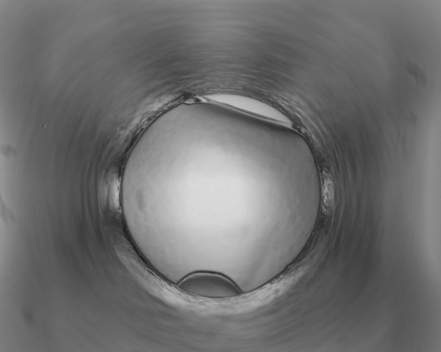 X0000090610046200708071212