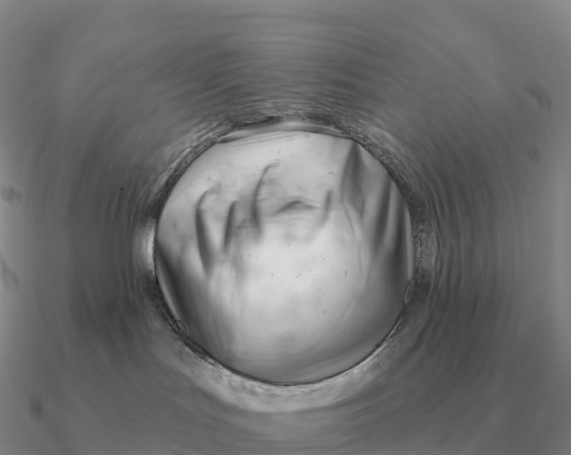 X0000090610047200708071212