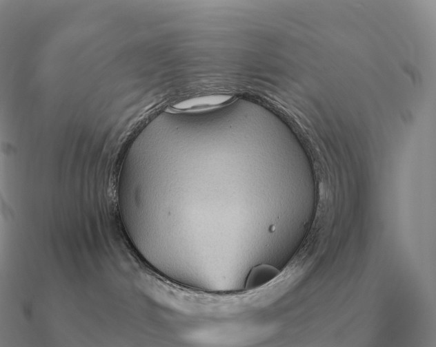 X0000090610048200708071212