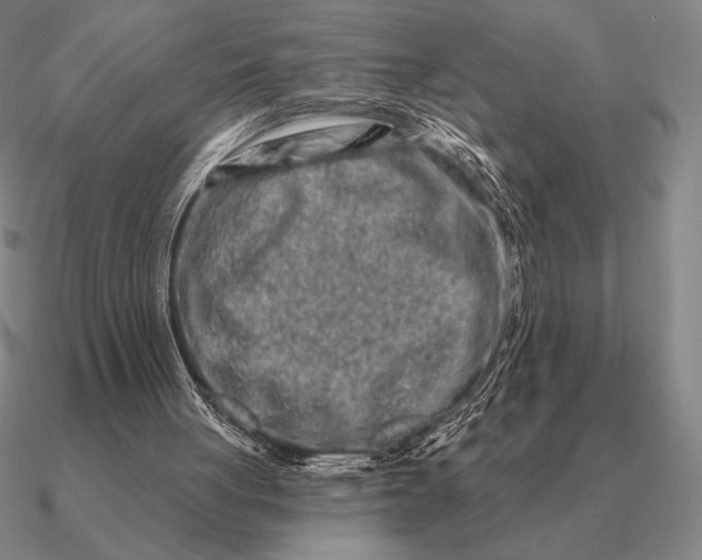 X0000090610051200708071212