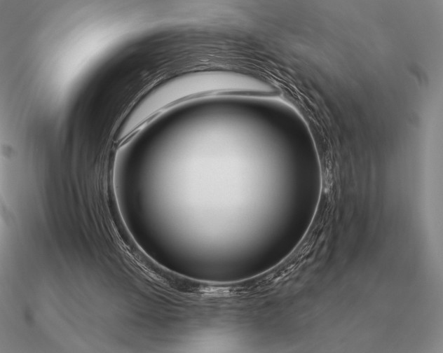 X0000090610052200708071212