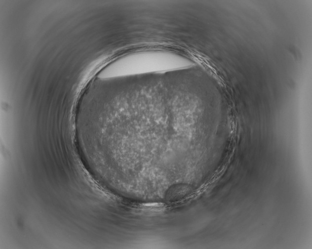 X0000090610053200708071212