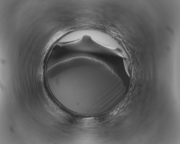 X0000090610054200708071212