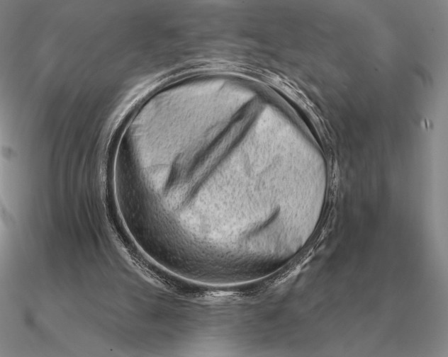 X0000090610055200708071212